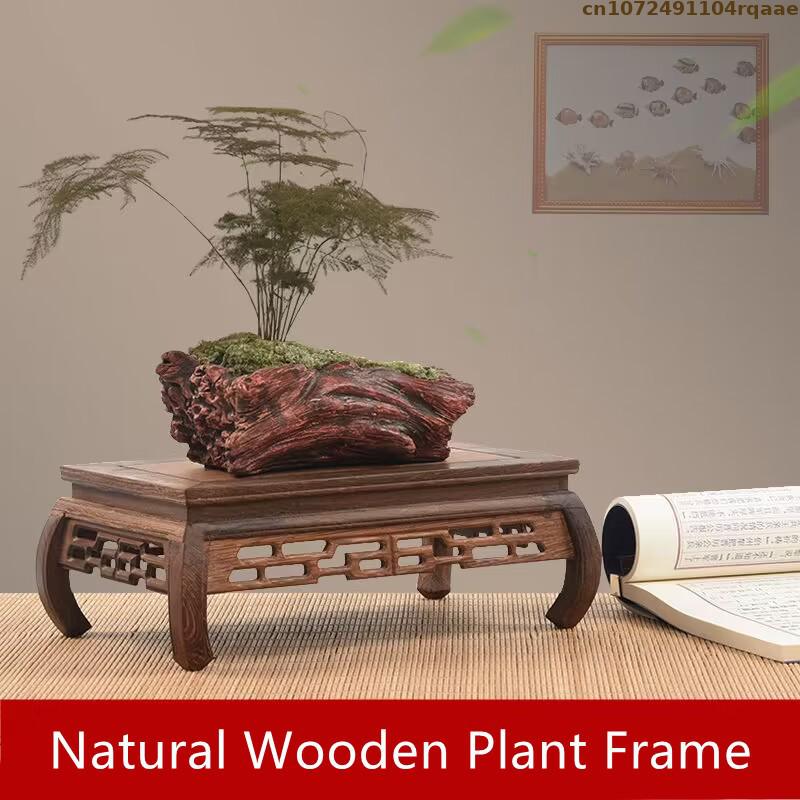 Premium Wooden Bases Bonsai Ho - Coffee Tea Display ulasan dan harga